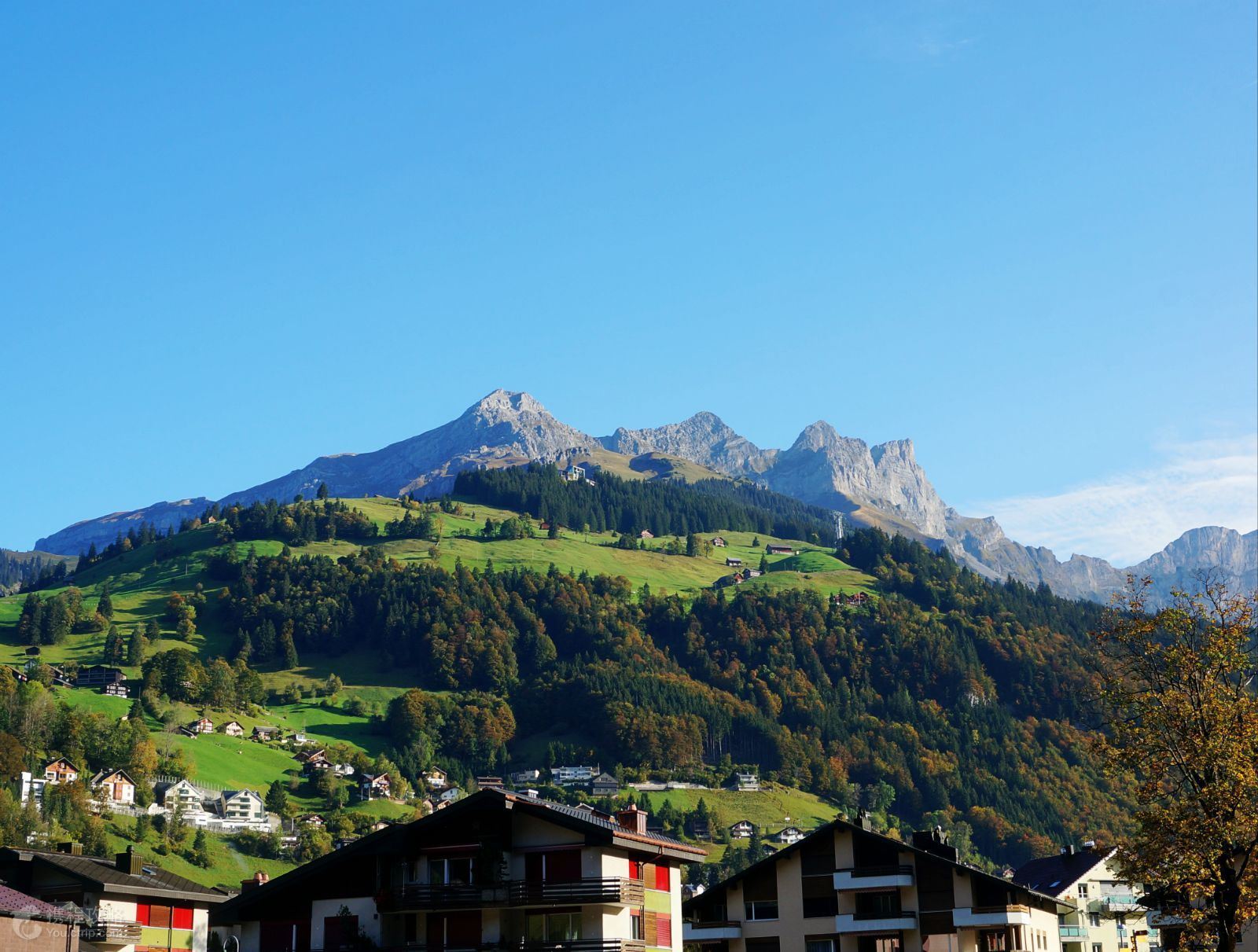 巴黎+日内瓦+因特拉肯+因斯布鲁克+威尼斯+佛