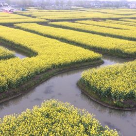 千垛景区门票,兴化千垛景区攻略\/地址\/图片\/门票