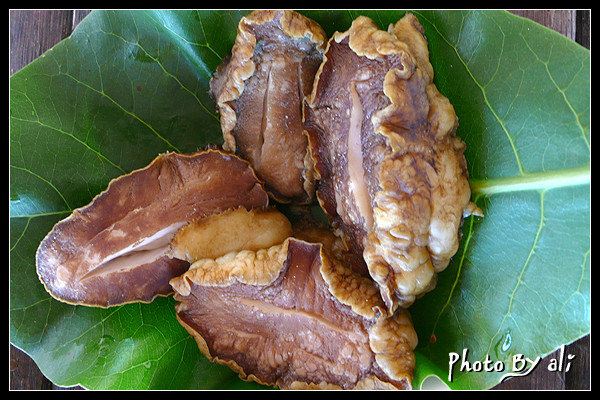 #我要当网红#马尼拉、爱妮岛、公主港,7日菲律