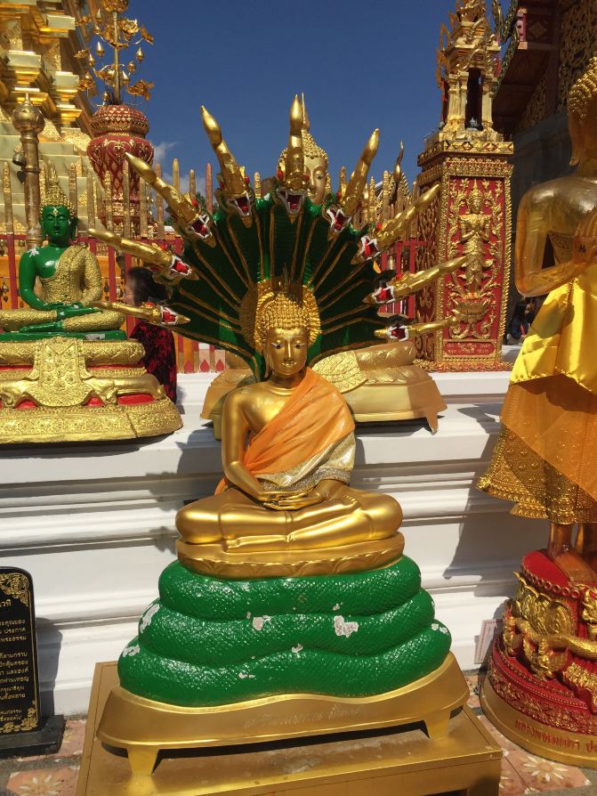 零英语60后大妈大叔自由行の勇闯泰国~北清迈