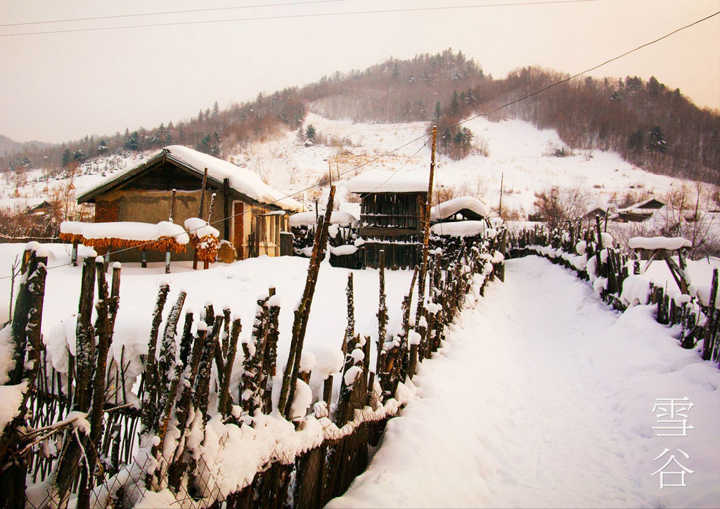 东北看雪神马的 必须是个超冷冬