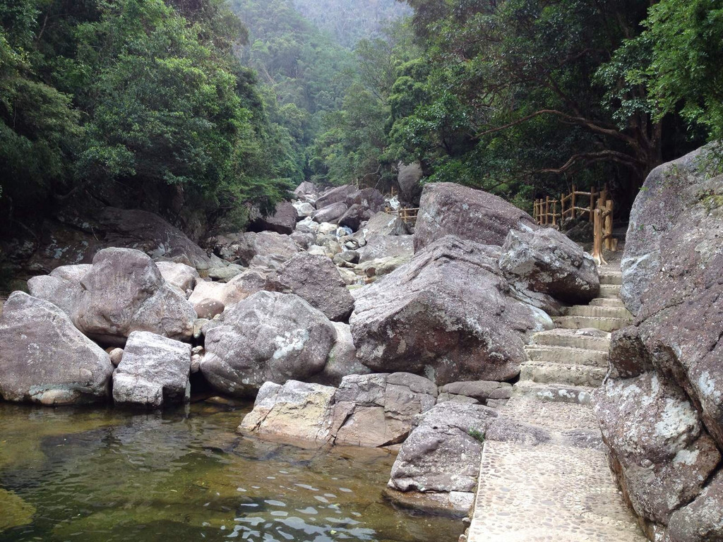 广西上思县十万大山国家森林公园