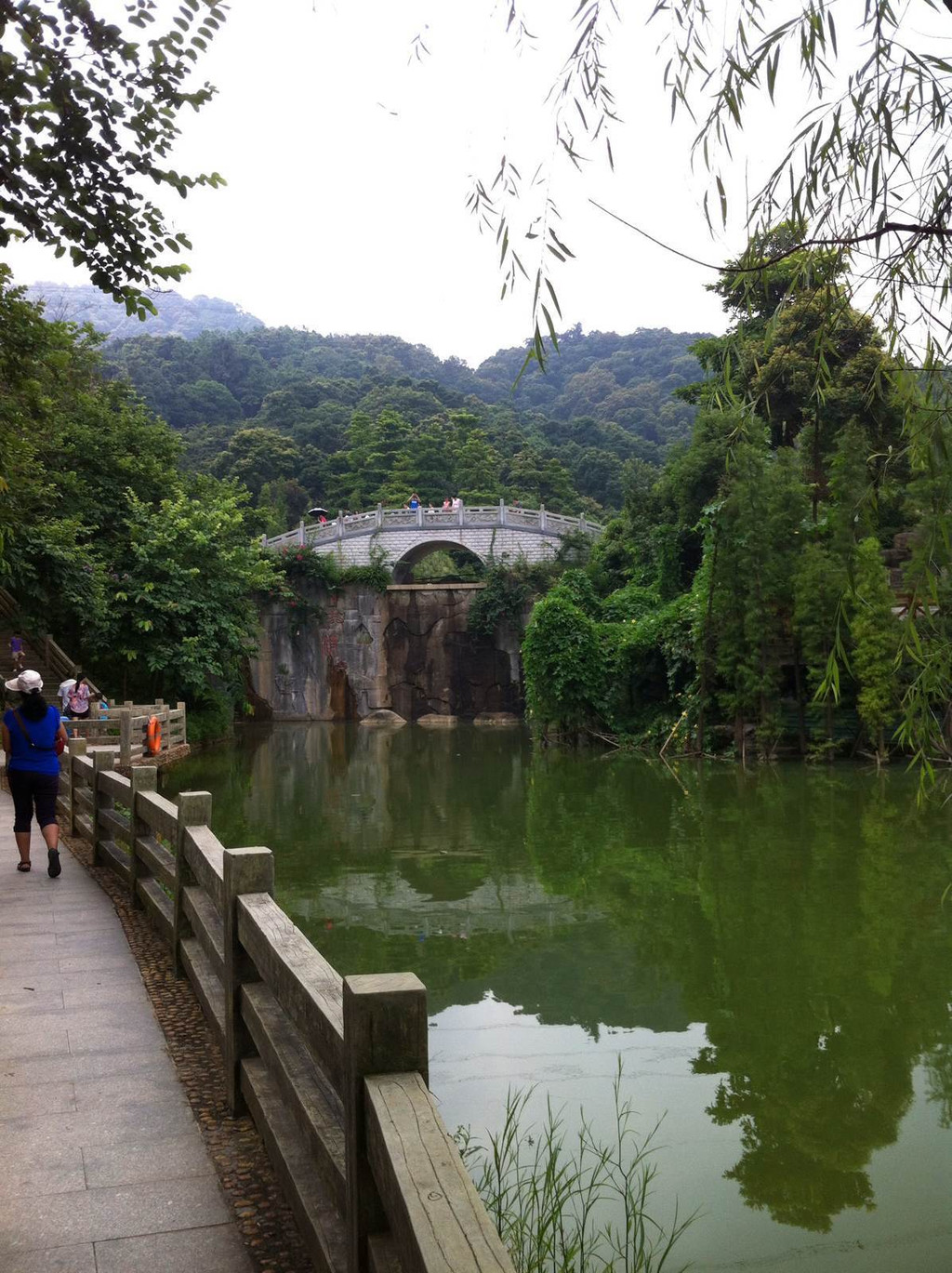 帽峰山森林公园