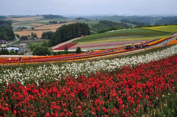 九州-本州-北海道 2014夏JR之旅 - 京都游记攻