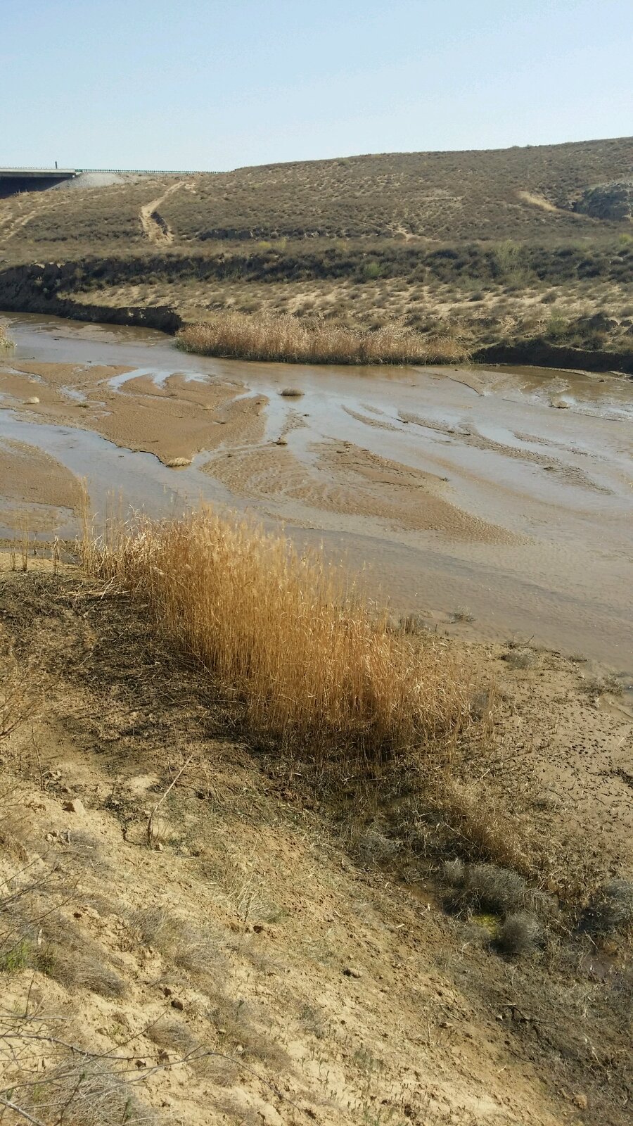 库布奇丁红湾——建设湾探秘