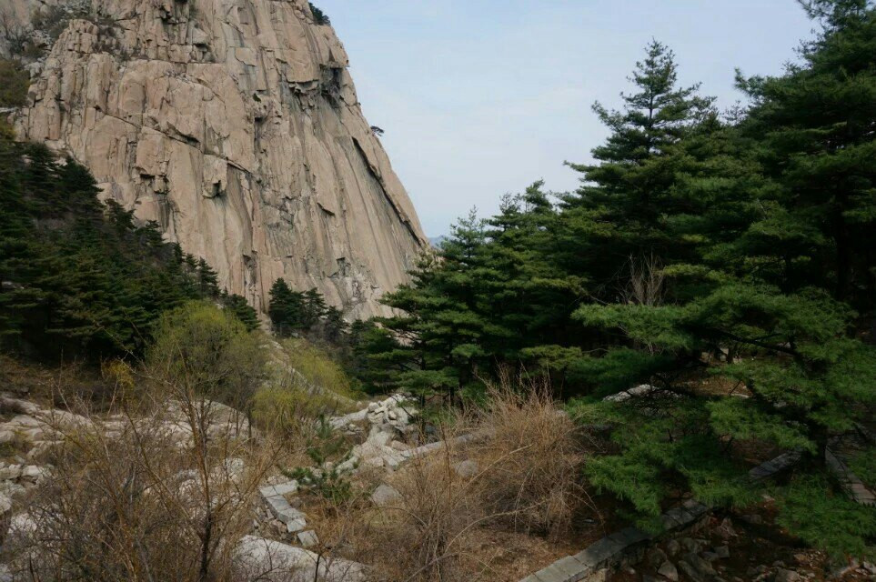 第5天 2016-04-07 好汉坡 天烛峰 泰山风景区