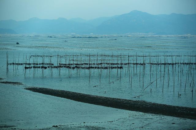 霞浦围江村