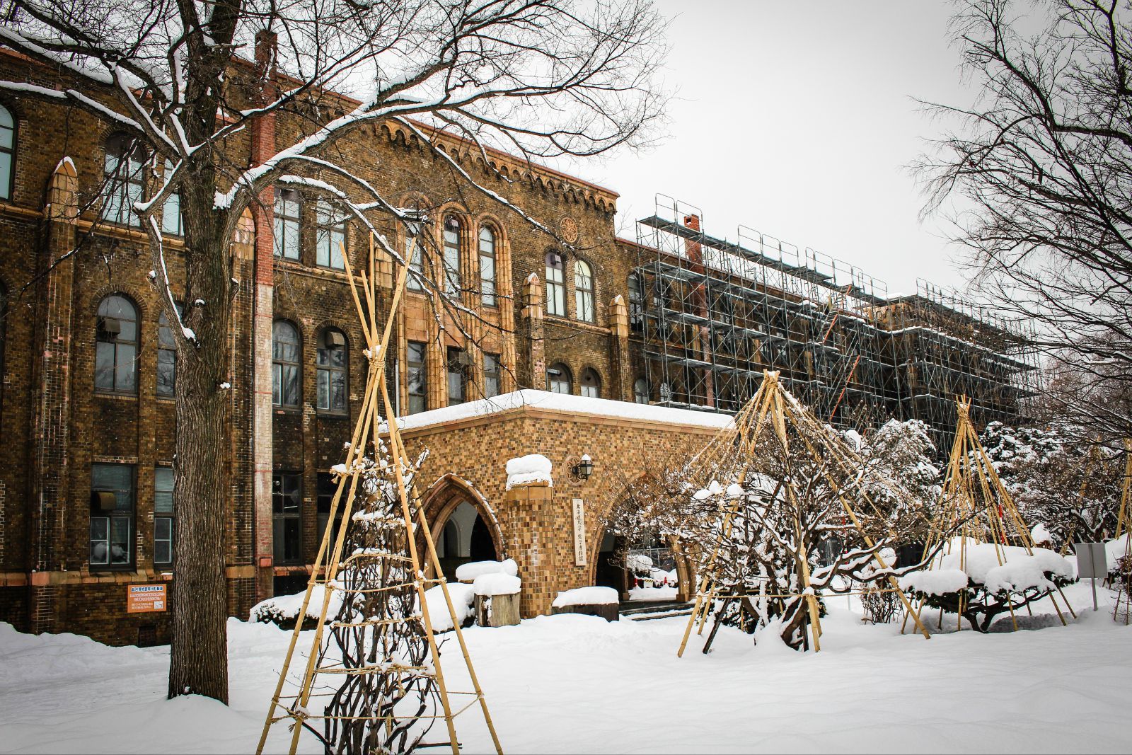 北海道大学