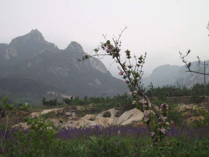 胶东昆嵛山,总想再见面.