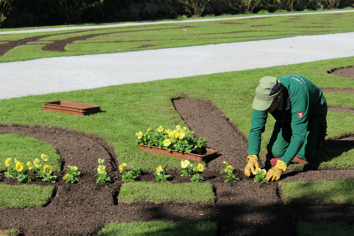 2012西游记_用萨堡音乐兑慕尼黑啤酒(8) - 慕尼