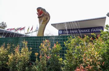 【携程攻略】清迈泰国毒蛇研究中心购物攻略,