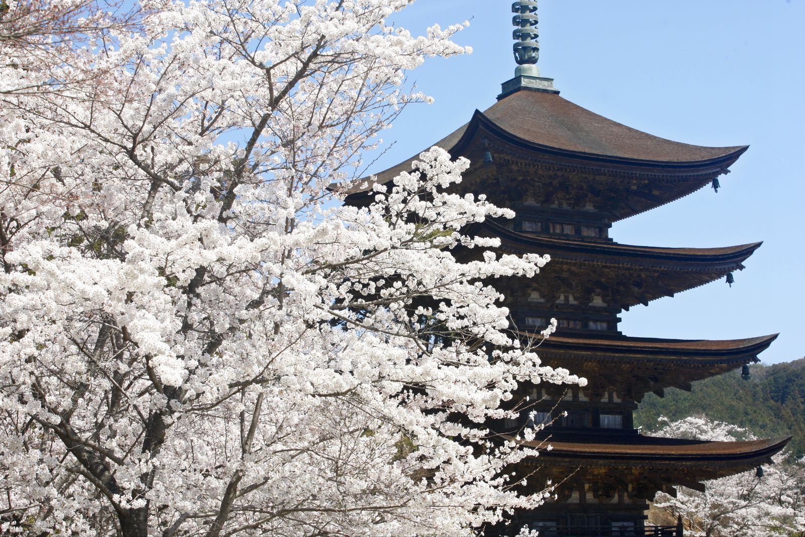 日本山口县