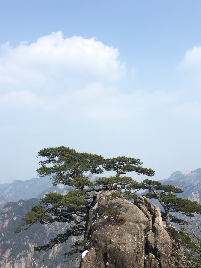 婺源扬州无锡黄山往返十日自助游,追寻春天的幼儿园爬爬乐游戏玩法图片