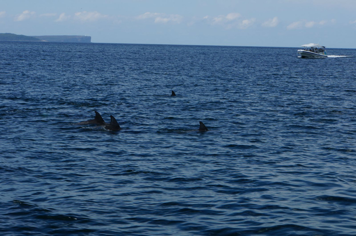 悉尼二日游 - 悉尼游记攻略