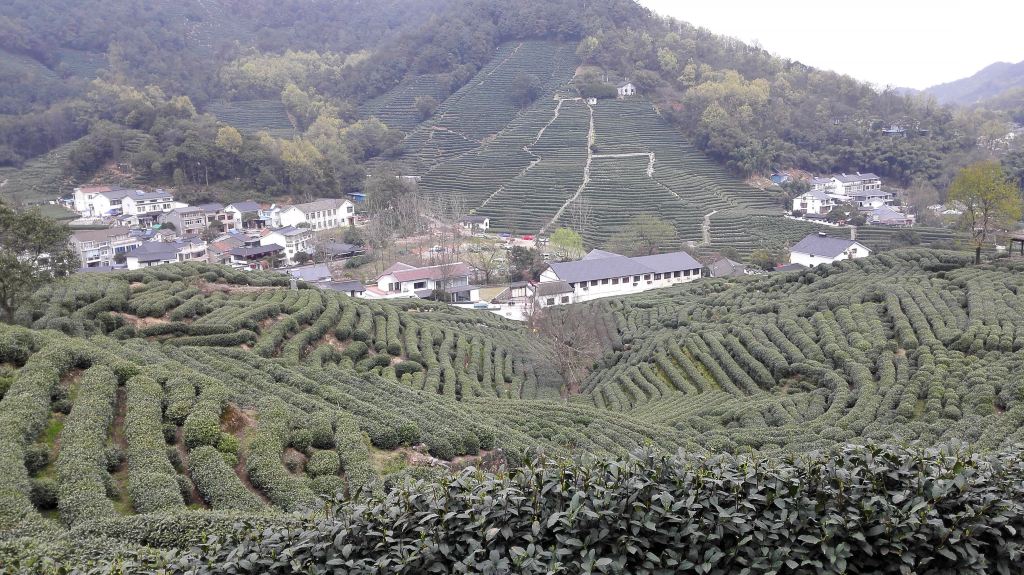 十里琅珰.龙井村