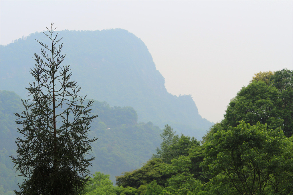 都江堰赵公山