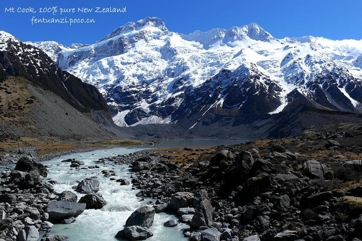 100% pure new zealand