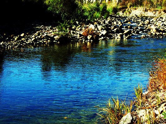 新西兰汉密尔顿旅游最新攻略,景点介绍+住宿推