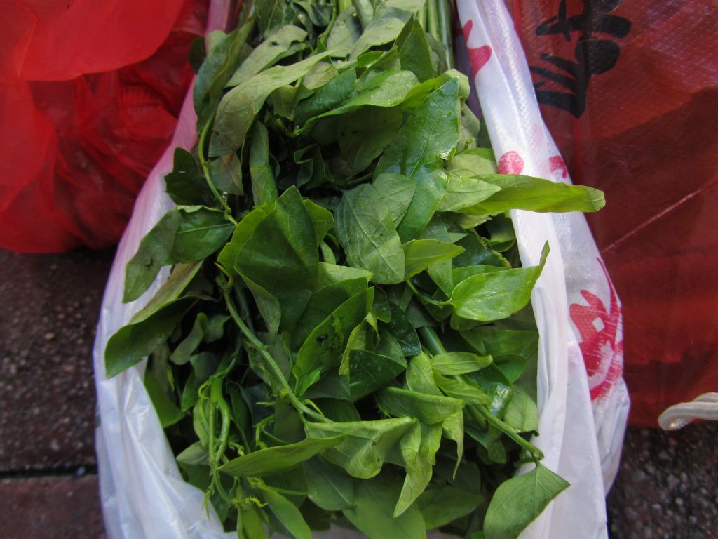 五指山野菜