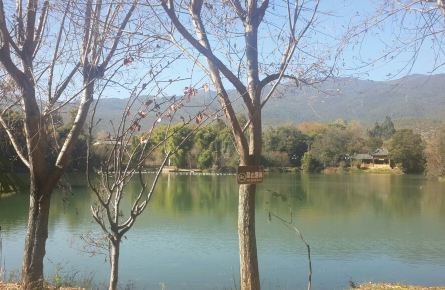 5月12号左右南宁到丽江求结伴 - 携程社区