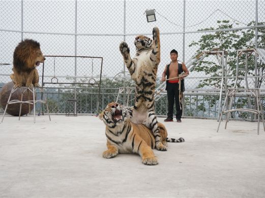 宜兴风景图片,宜兴旅游景点照片\/图片\/图库\/相册