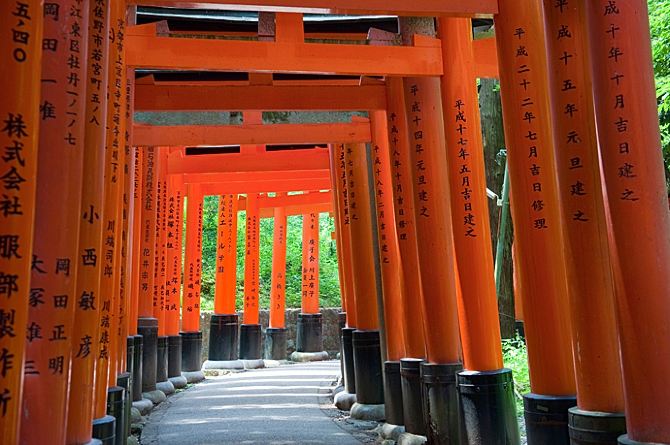 京都伏见稻荷 千本鸟居的绝美风景