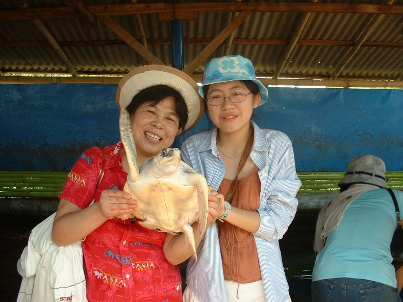 在印度尼西亚巴厘岛买海螺 - 巴厘岛游记攻略