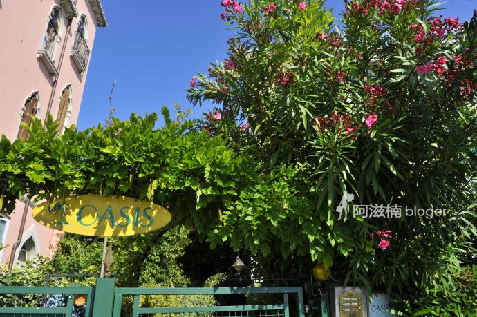 【i旅行】【威尼斯】lido岛 远离喧嚣的明星奢