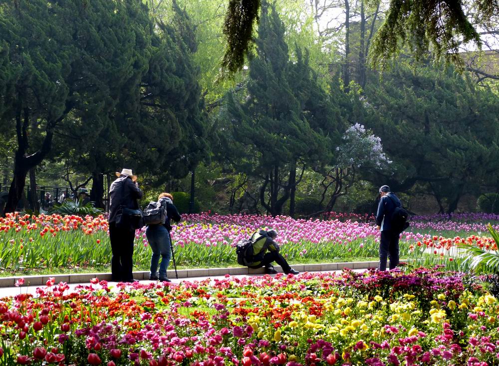 2014年大连百花迎春游园会  劳动公园