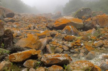 燕子沟,甘孜燕子沟攻略\/地址\/图片\/门票【携程攻