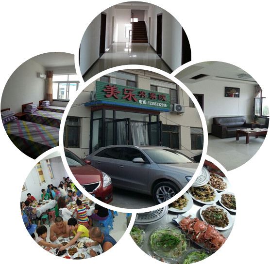 辽宁绥中东戴河绝版,东戴河住宿,美乐农家院欢td旅游攻略图片