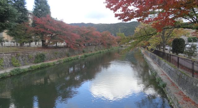 秋日红叶--京都、大阪、奈良、神户自由行(上)