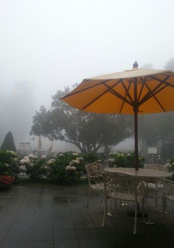 天气突变的狮子岩 - 斯里兰卡游记攻略