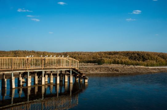 嗨到爆!跟俊男<em>靓妹</em>们去额济纳胡杨林拍美图 - 