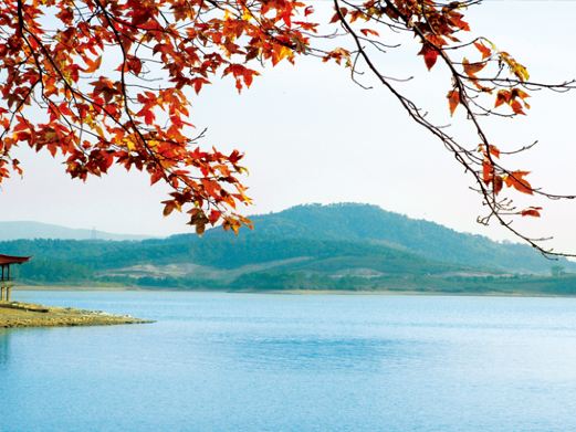 天目湖图片,天目湖风景图片,天目湖旅游照片/景点图片