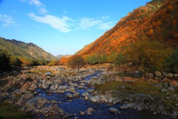 武威高坝镇冰沟河自然保护区