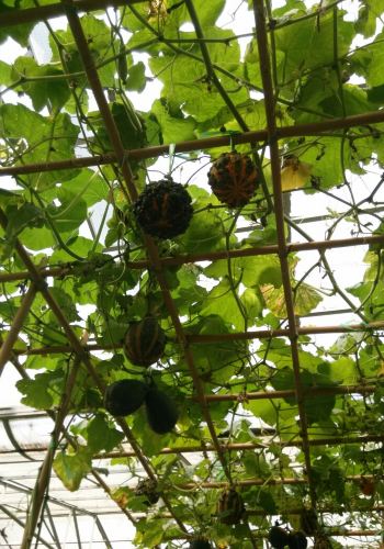 广州珠海深圳三地游 - 珠海游记攻略