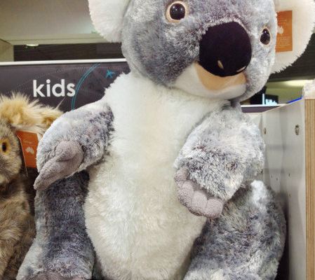 澳大利亚情侣9日游 小资摄影跟团游攻略 附海