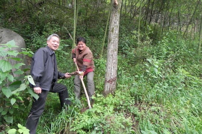 张五毛农家乐游记 - 临安游记攻略