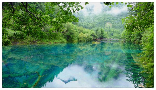 四川五日自由行九寨沟 黄龙 若尔盖大草原 主要
