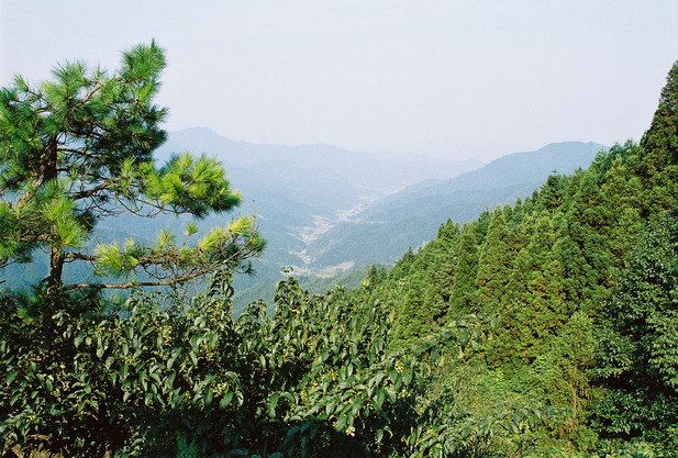 井冈山随想 - 井冈山游记攻略 - 携程攻略