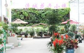 【花卉小镇天气预报】清远花卉小镇天气预报一