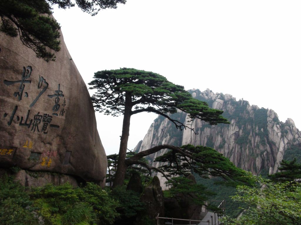 大美黄山!五岳归来不看山,黄山归来不看岳,美到窒息