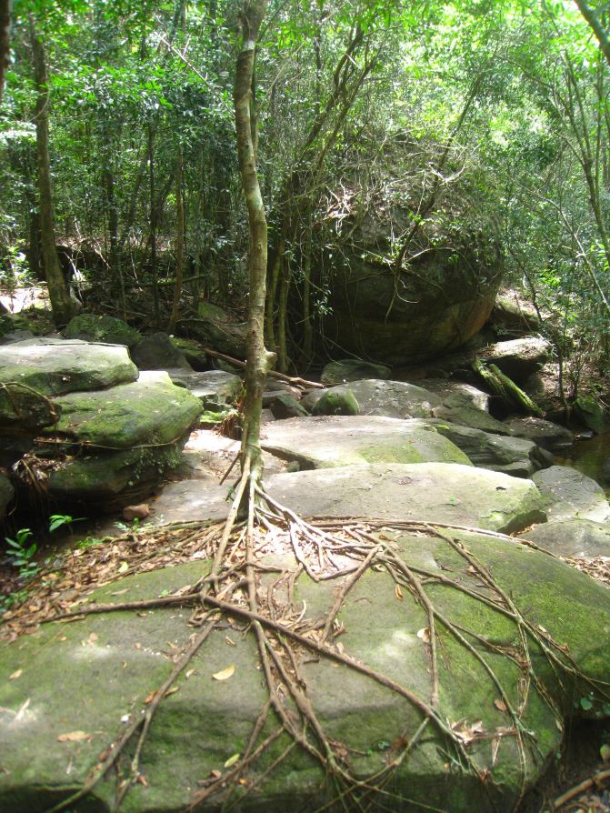 亲子游越南小攻略 含越南签证办理货币兑换及