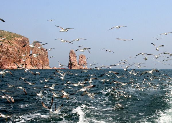 2014山东长岛旅游新攻略