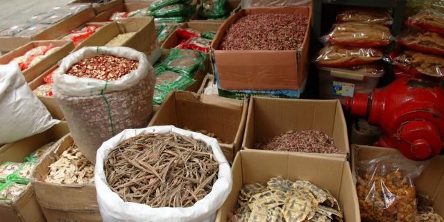 照片街-点评,手机,介绍,视频,攻略,视频,药材,地门票线路截屏图片