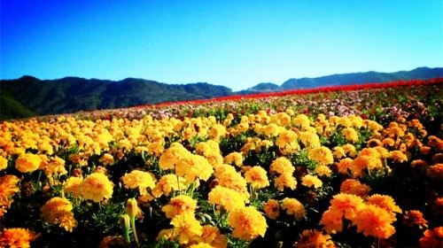 长泰风景图片,长泰旅游景点照片\/图片\/图库\/相册