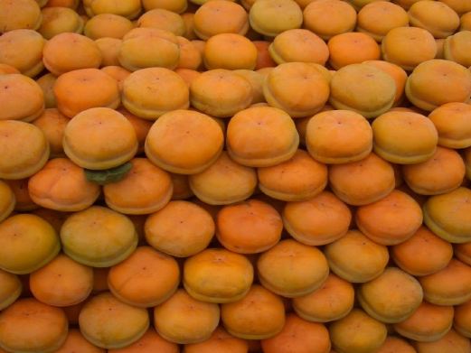 蓟县风景图片,蓟县旅游景点照片\/图片\/图库\/相册