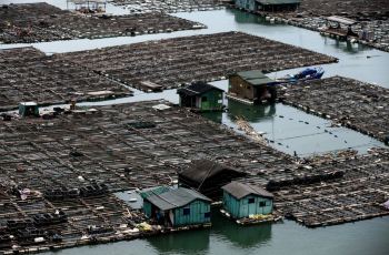 三沙港,霞浦三沙港攻略\/地址\/图片\/门票