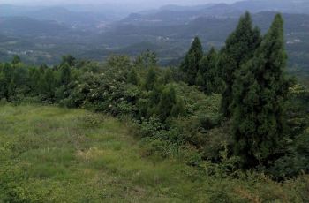 云顶石城,金堂云顶石城攻略\/地址\/图片\/门票